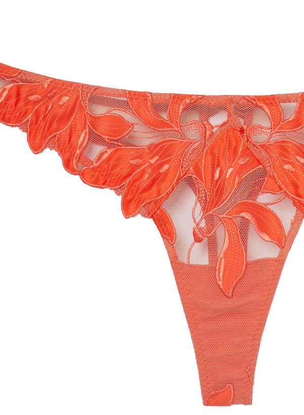 Lily Embroidery Hipster Thong-clementine | Fleur du Mal
