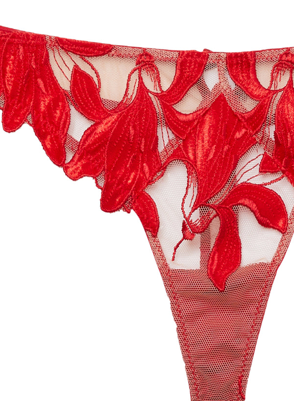Lily Embroidery Hipster Thong-rouge velvet | Fleur du Mal