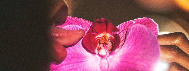 These Aphrodisiacs Make The Most Delicious Foreplay