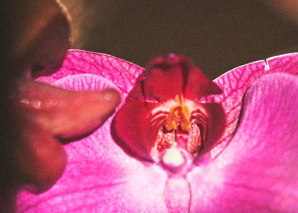 These Aphrodisiacs Make The Most Delicious Foreplay