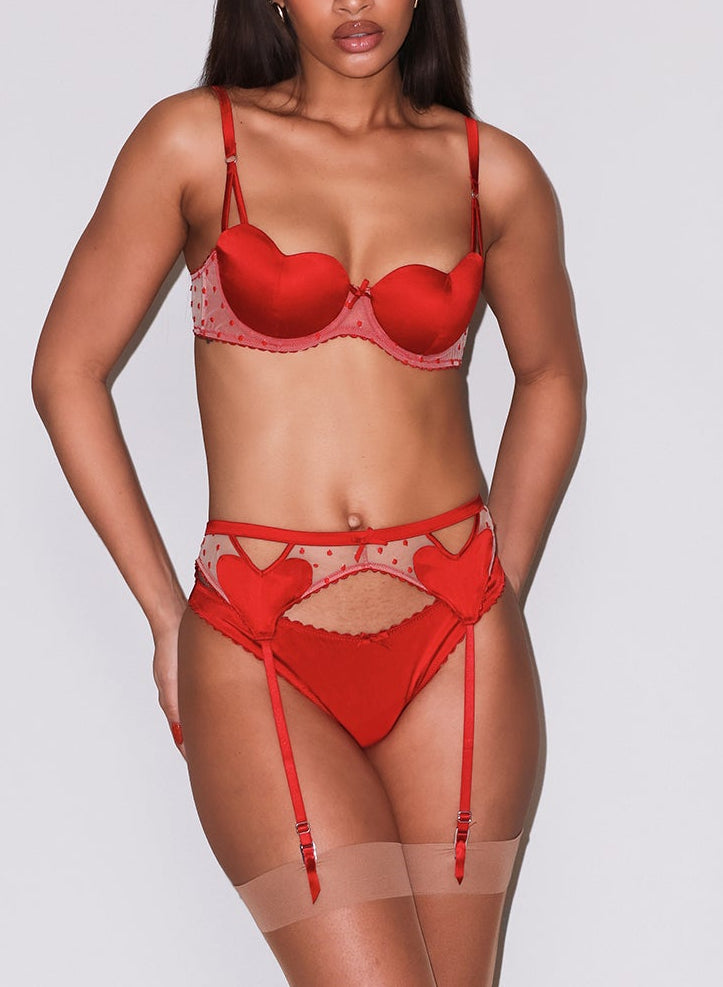Amour Bra, Cheeky & Garter Belt in red- fleur du mal