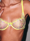 body