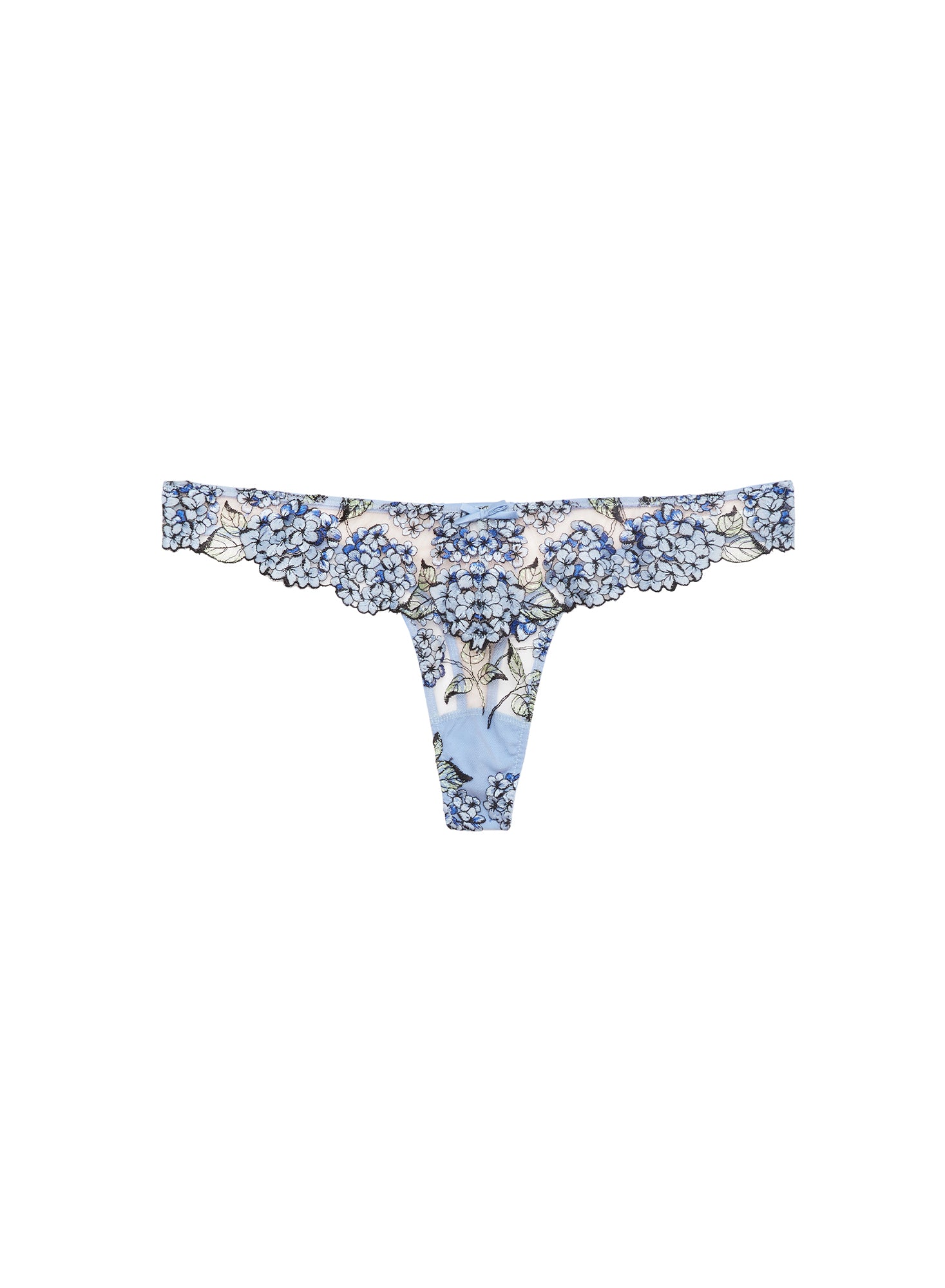 Hydrangea Thong-blue-fleur du mal-flat