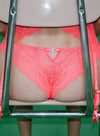 Body
