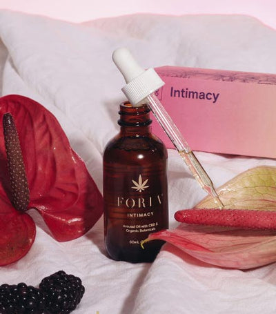 Charlotte Balconette Bodysuit