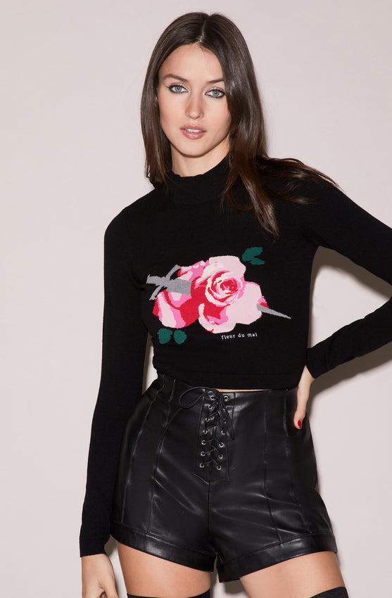 Rose & Dagger Cropped Sweater