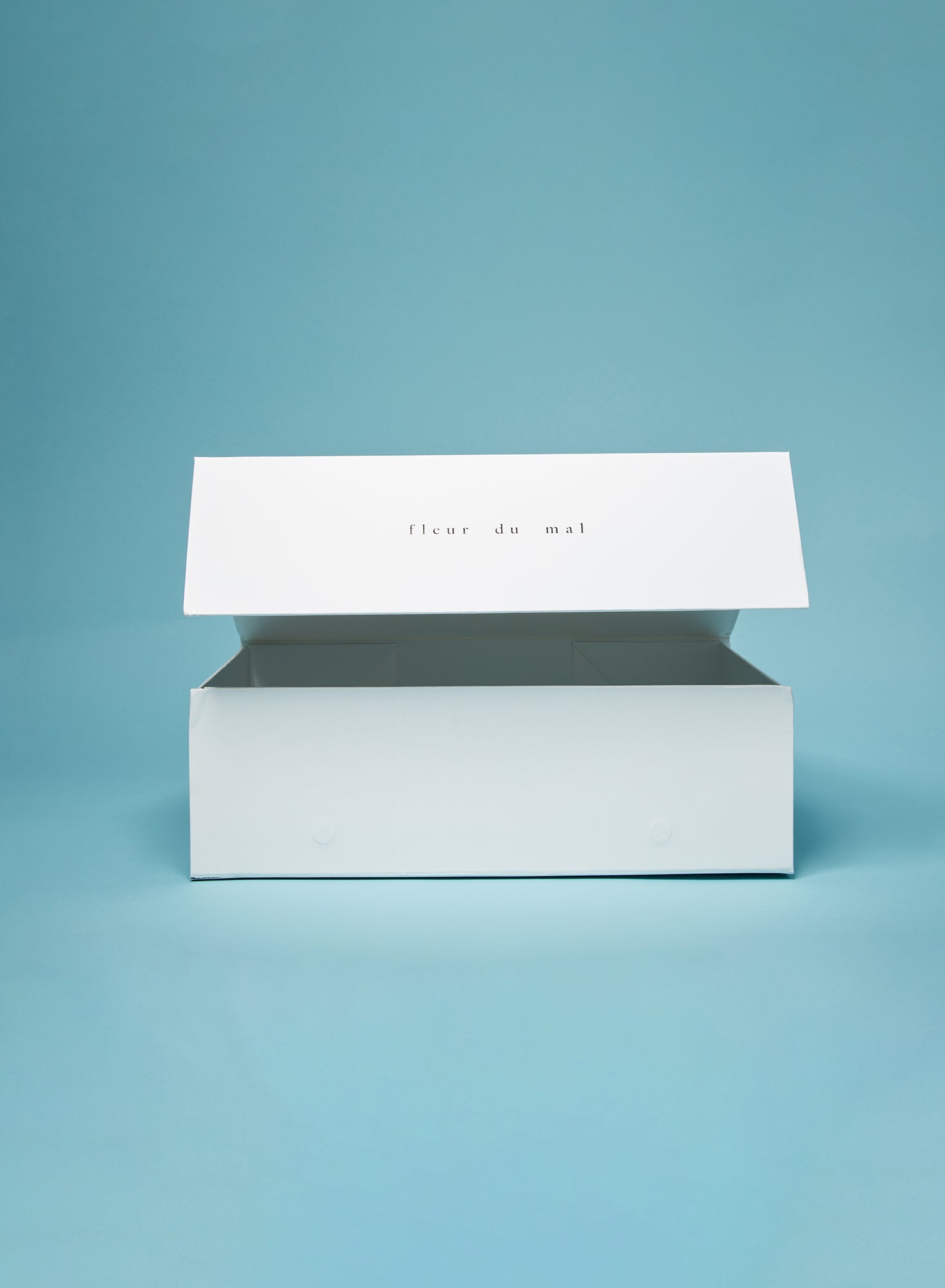 Large Gift Box