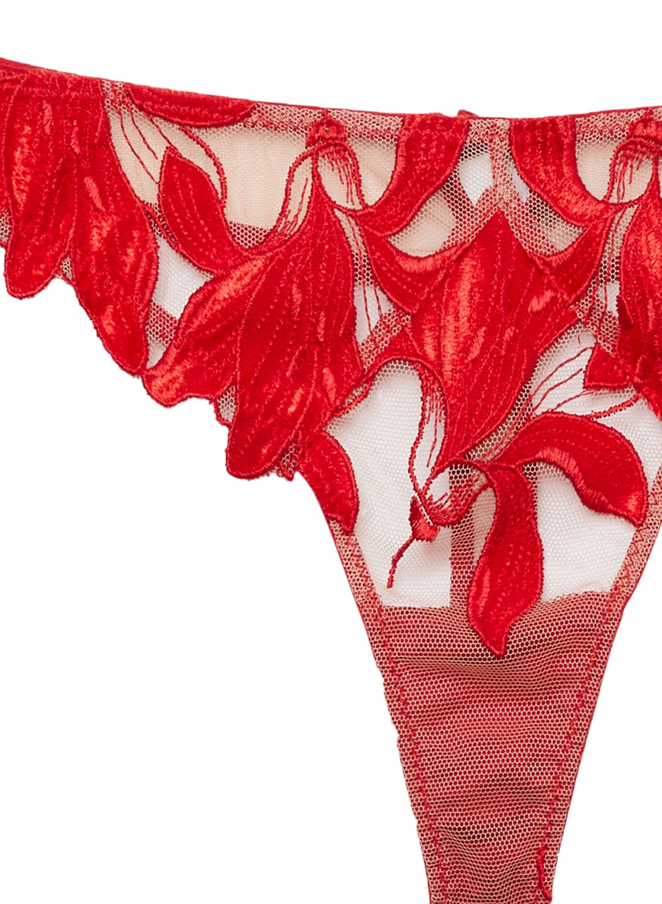 Rouge velvet - Lily Embroidery Hipster Thong | Fleur du Mal