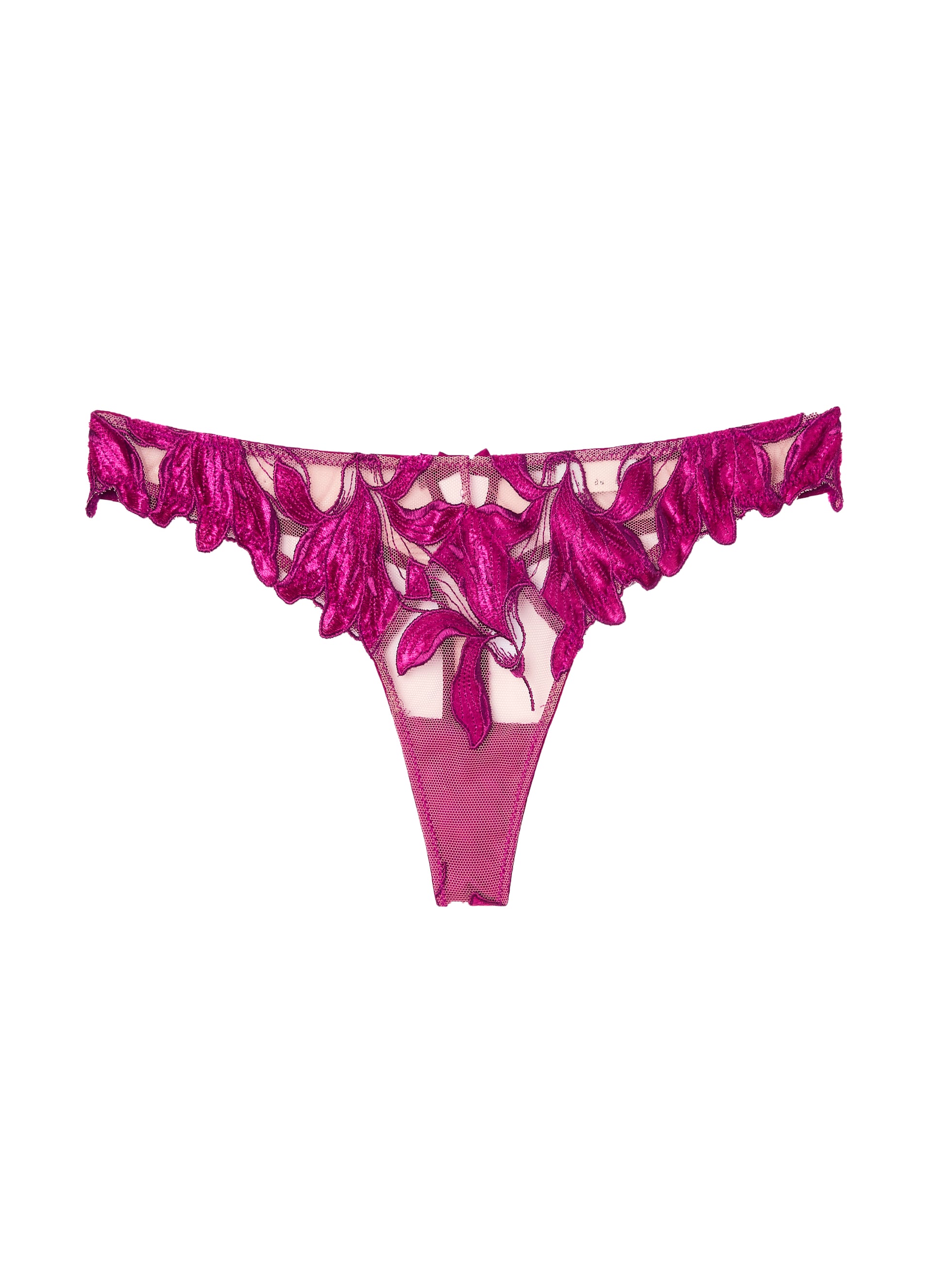 Brand - Iris & Lilly Women's Thong in Full-cover Embroidered Front :  : Clothing, Shoes & Accessories